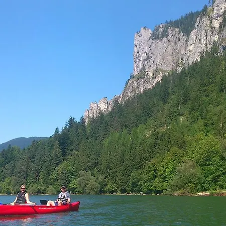 招待所 罗森霍夫酒店