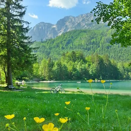 招待所 罗森霍夫酒店 3*