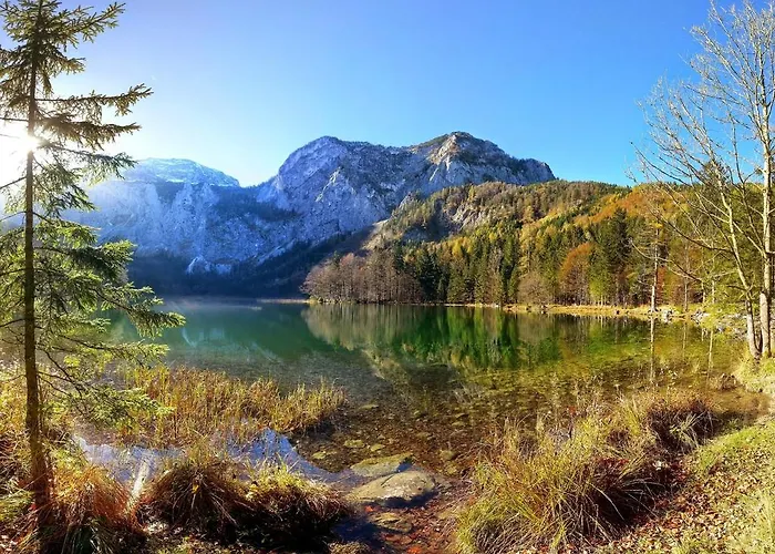 Rosenhof Πανσιόν 3*